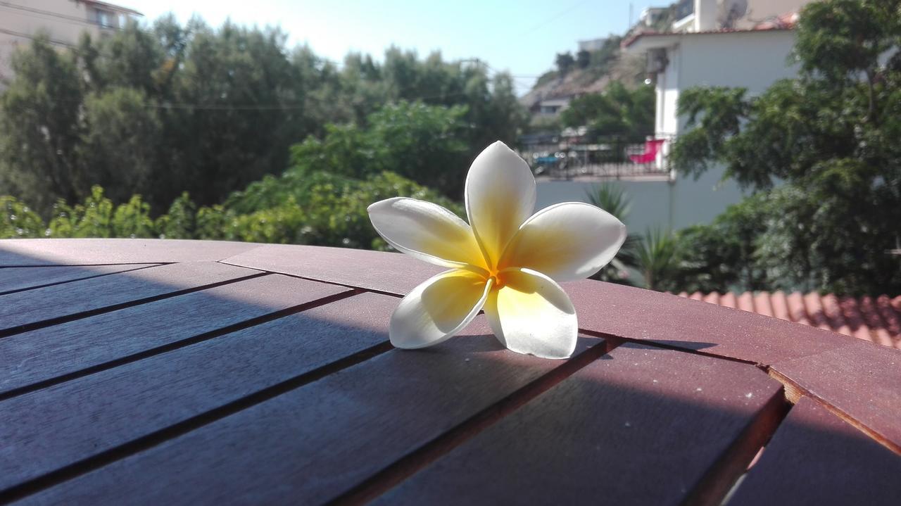 Plumeria Flowery Ágios Kírykos Buitenkant foto
